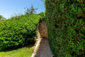 Patio Relax - 200m from beach - Villasimius img17