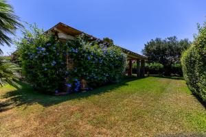 Patio Relax - 200m from beach - Villasimius img16