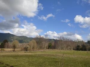 Cabaña Precordillera Cunco