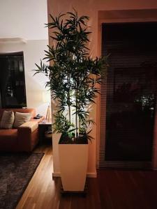 Luxus Apartment 70m2 Hamburg Eppendorf