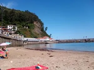 Tazones 79 VUT6993AS - Liñero