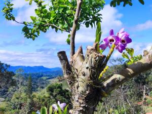 Chácara Nefer Akhet
