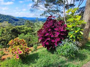 Chácara Nefer Akhet