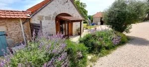 Le Célé - Cabrerets