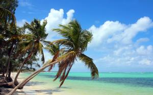 El Dorado Condo 208A