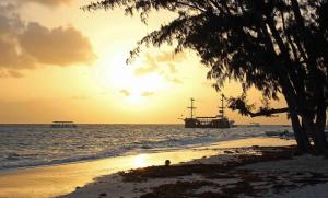 El Dorado Condo 208A