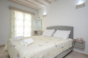 Pension Elena Naxos Greece