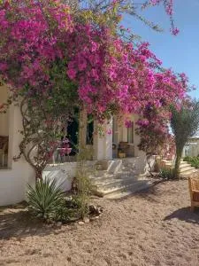 Marine Garden Camp - Al Bad‘