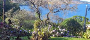 Recanto Inaciano Saúde e Paz