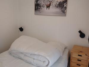 Appartements Studio Chatel, 1 piece, 4 personnes - FR-1-693-101 : photos des chambres