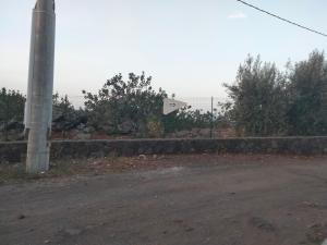 Cuntarati Nature Tourism - Simeto Etna