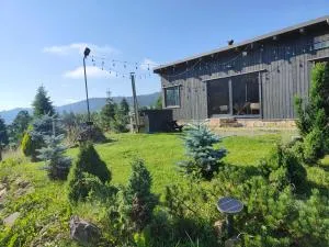 Panoramic Cabin Stânceni - Salard