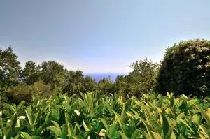 Apartments Haldej - Kraj