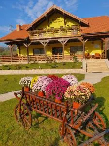 Pensiunea La Taica Iacob - Săcărîmbu