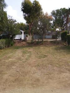 Campings Camping les Acacias : Empty Lot with Electricity (Bring your own Caravan)