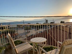 studio Palerostravel