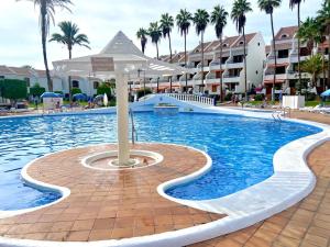 Palm trees studio - Las Américas