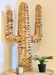 Palm trees studio - Las Américas