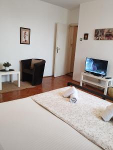 Apartman Centar Beograd