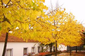 Apartamento Duplex de 3 Quartos com vista