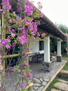 Agriturismo Iride