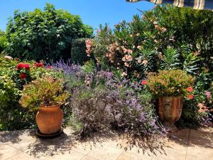 La Villa des Lavandes - A 300m du Centre, au calme, et au vert !