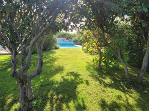 La Villa des Lavandes - A 300m du Centre, au calme, et au vert !