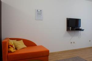 Aspen Valley Sun Rays A102