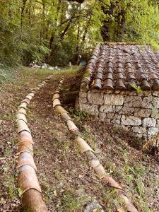 B&B / Chambres d'hotes La Cabane de Frederique : photos des chambres