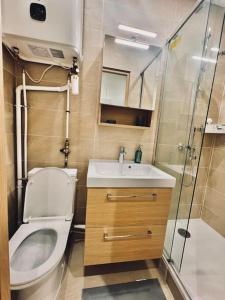 Très beau studio refait à neuf 2