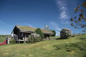 Lodges Les Demeures des Fees : photos des chambres