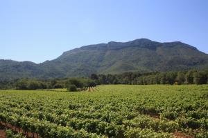 Sejours a la campagne VILLA DE CHARME AU COEUR DU VIGNOBLE : photos des chambres