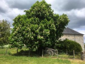 Sejours chez l'habitant Chambre cantou : photos des chambres