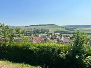 CHEZ BRIGITTE - 马恩河畔赫尔