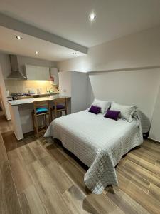 Monoambiente a estrenar 50 y 28