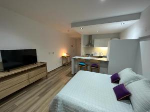 Monoambiente a estrenar 50 y 28