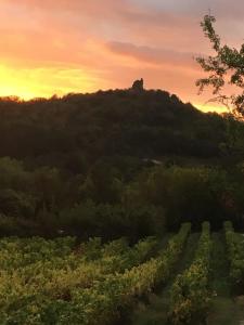 Maisons de vacances Gite dans une ferme agro-ecologique en Ardeche : photos des chambres