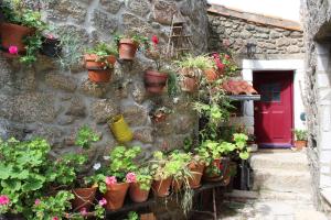 Lugar São Salvador de Monsanto