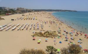 Rocha Gardens Apartment