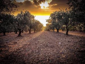 Sejours a la campagne VILLA DE CHARME AU COEUR DU VIGNOBLE : photos des chambres