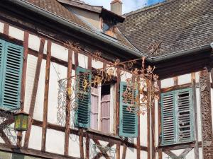 Appartements Nid douillet au coeur du vignoble alsacien : photos des chambres