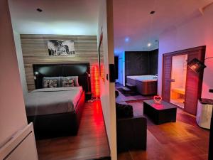 Appartements Le Loft Lens : Jacuzzi - sauna - hammam : Appartement 1 Chambre