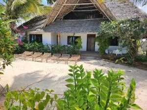 Villa NOAH BEACH ZANZIBAR - 吉汶瓦