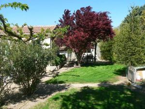 Chambres dHôtes Chez Cécile à Lagnes