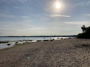 Maisons de vacances Rive droite bord de plage : photos des chambres