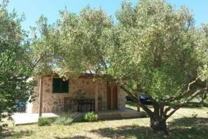 Robinson house Sea & olives