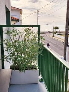 Appartement vue mer