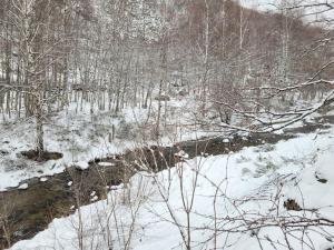 Chalets Chalet bois au coeur des Pyrenees ariegeoises : photos des chambres