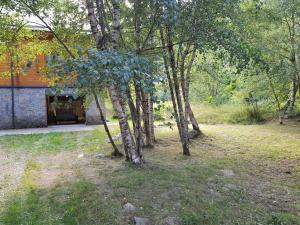 Chalets Chalet bois au coeur des Pyrenees ariegeoises : photos des chambres