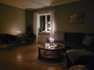 Mysigt hus utanför Järvsö